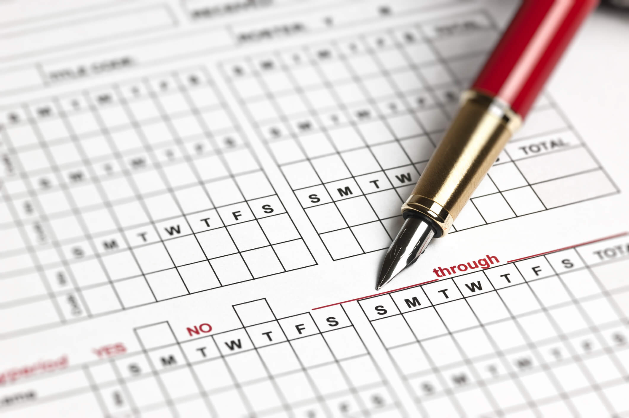 Weekly Time Sheet
